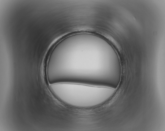 X0000112750983200908201010