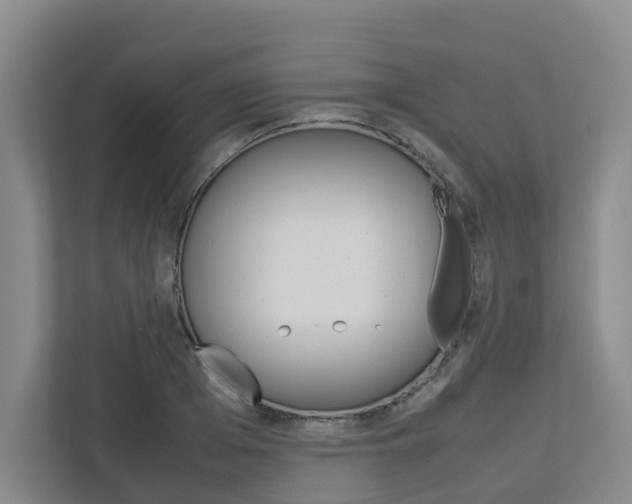 X0000112750985200908201010