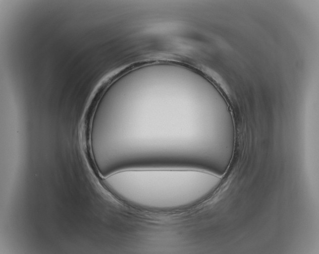X0000112750987200908201010