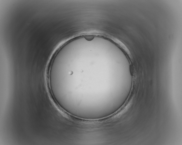 X0000112750989200908201010