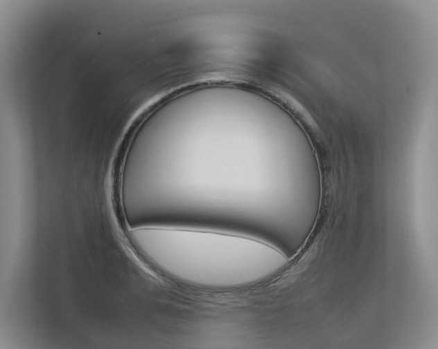 X0000112750991200908201010