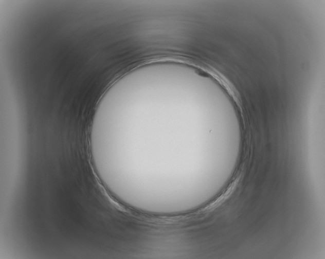 X0000112750993200908201010