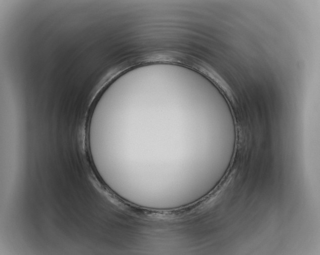X0000112750994200908201010