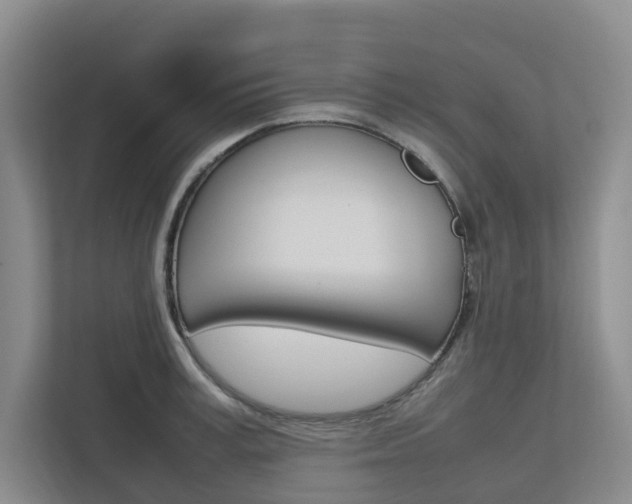 X0000112750995200908201010