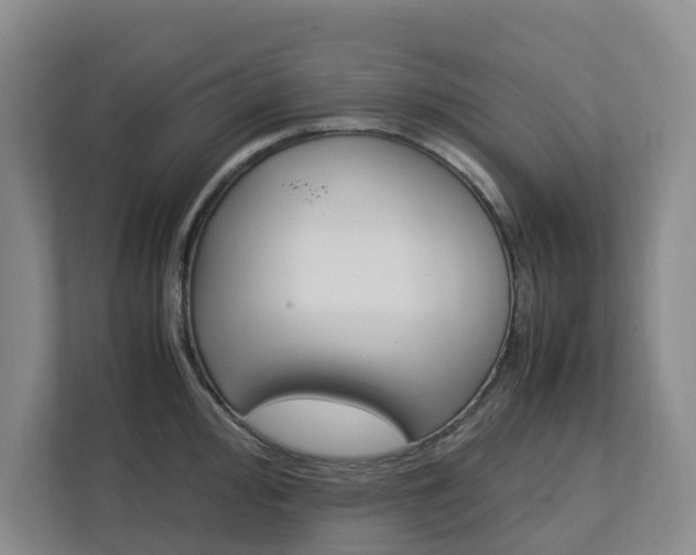 X0000112751000200908201009