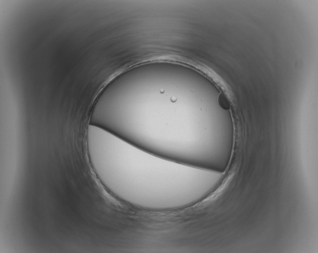 X0000112751001200908201009