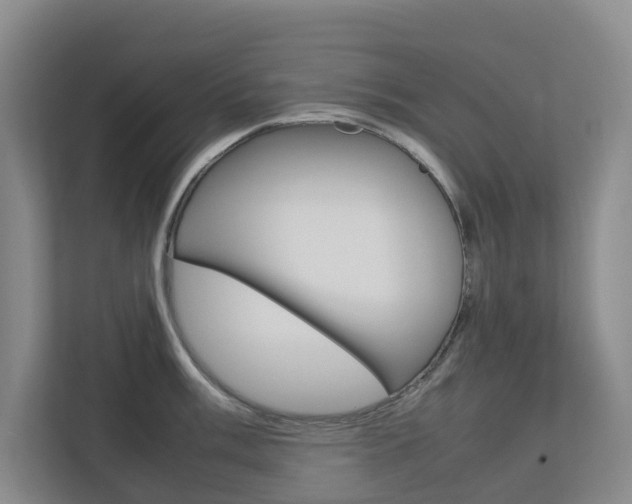 X0000112751003200908201009