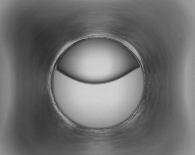 X0000112751005200908201009