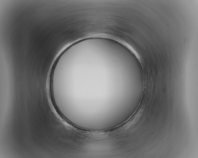 X0000112751007200908201009