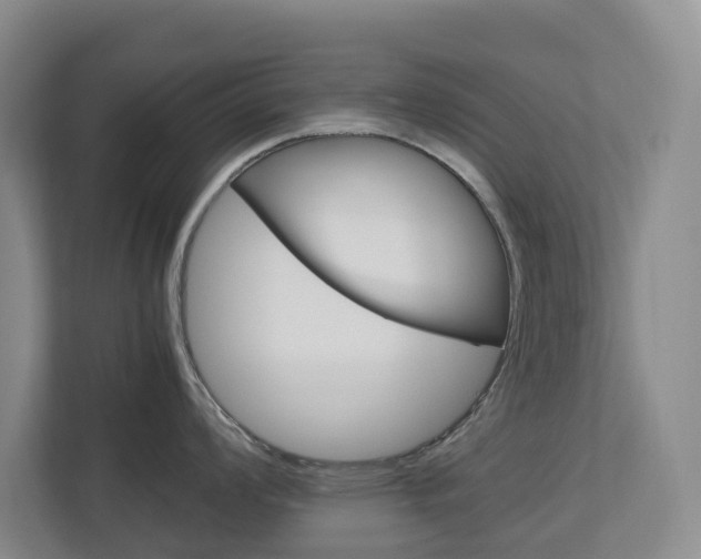 X0000112751008200908201009