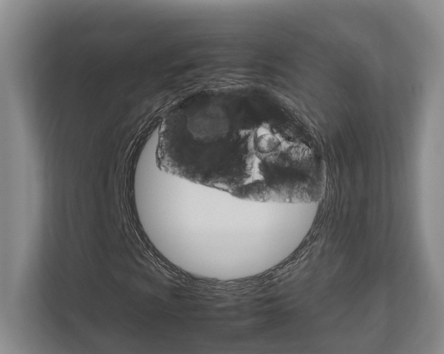 X0000112751009200908201009