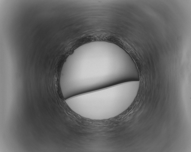 X0000112751010200908201009