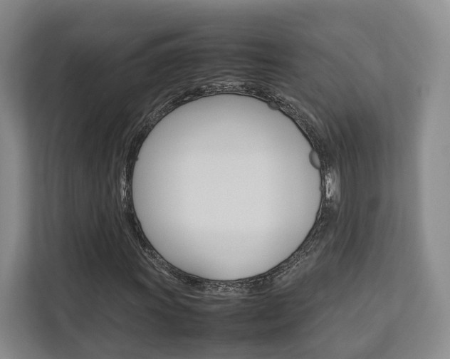 X0000112751011200908201009