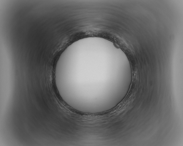 X0000112751012200908201009