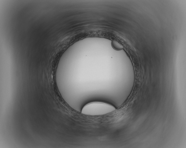 X0000112751013200908201009