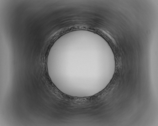 X0000112751015200908201009