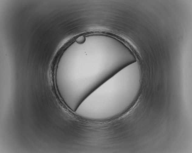 X0000112751022200908201009