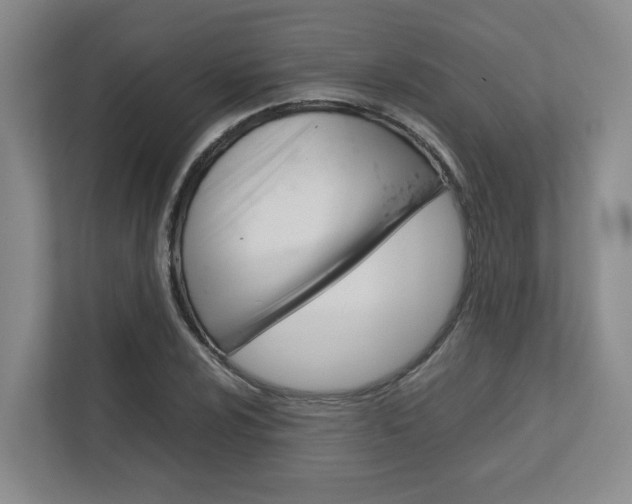 X0000112751024200908201009