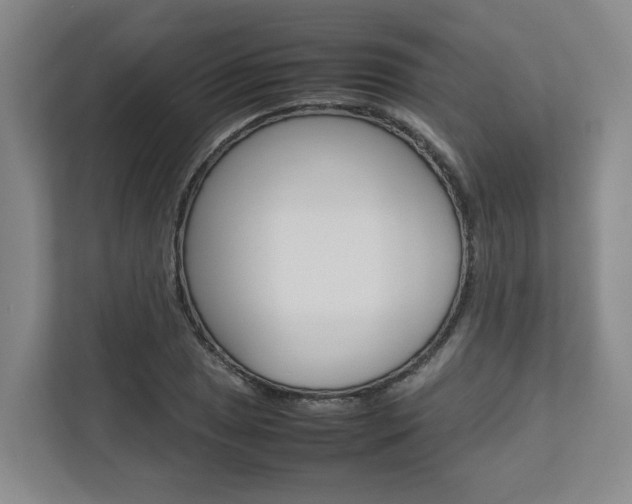 X0000112751025200908201009