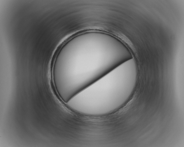 X0000112751028200908201009