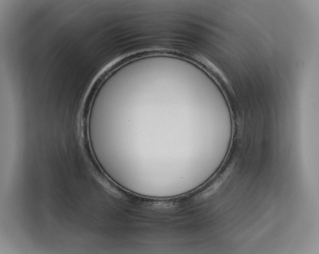 X0000112751029200908201009