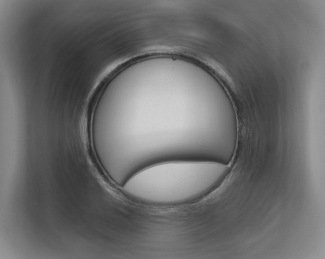 X0000112751030200908201009