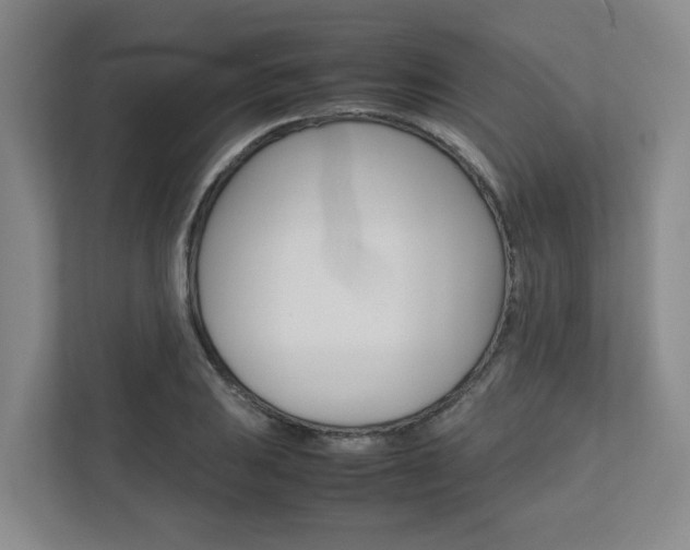 X0000112751031200908201009