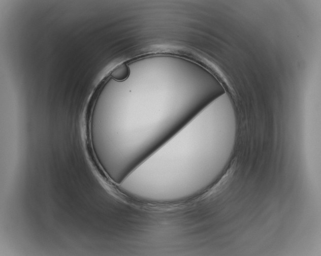 X0000112751034200908201009
