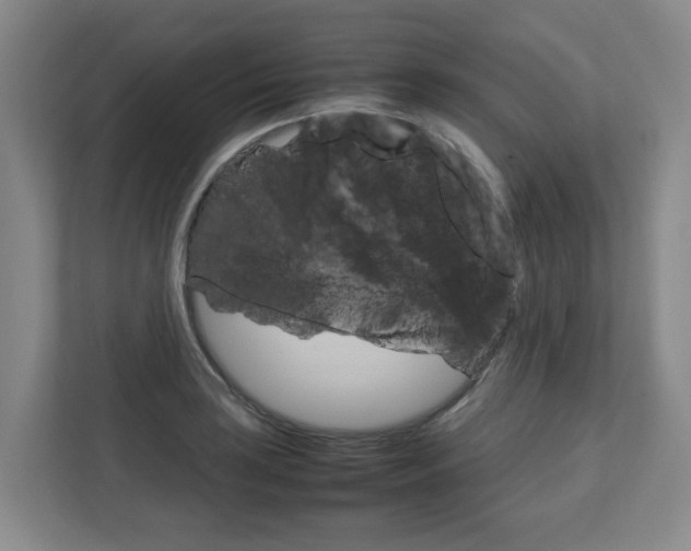 X0000112751035200908201009