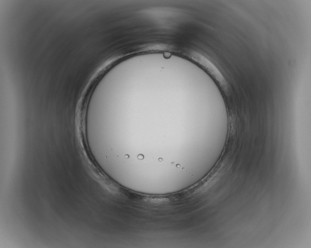 X0000112751043200908201009