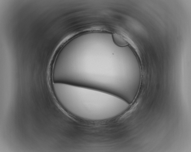 X0000112751045200908201009