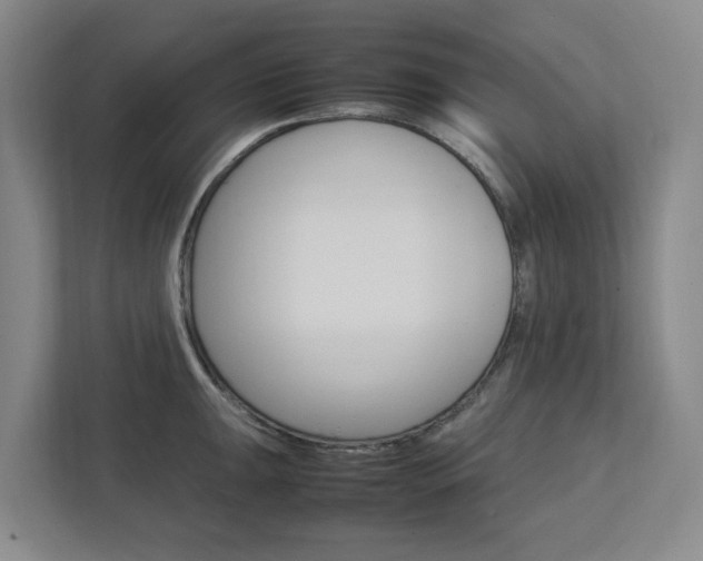 X0000112751047200908201009