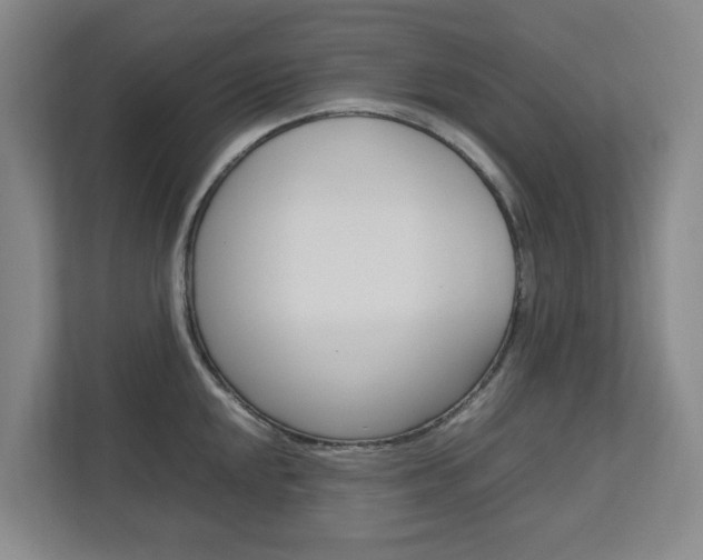 X0000112751048200908201009