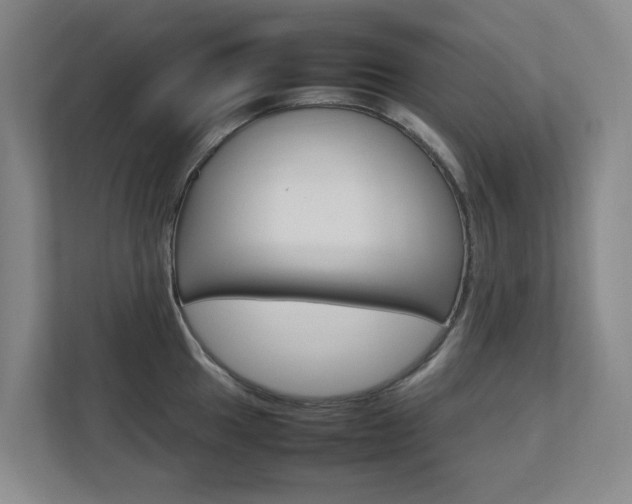X0000112751049200908201009