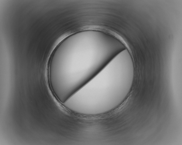 X0000112751050200908201009