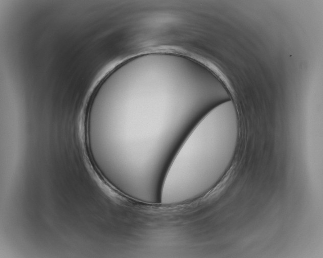 X0000112751054200908201009