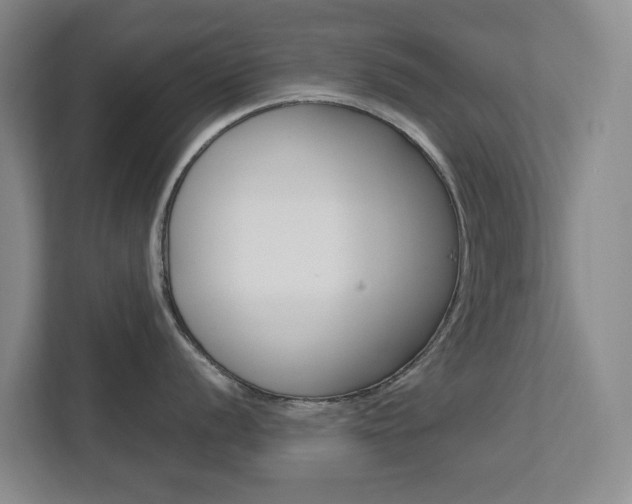 X0000112751056200908201009
