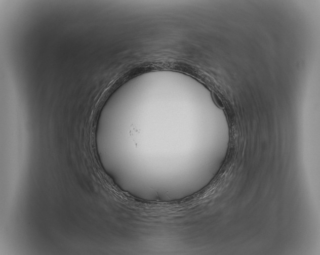 X0000112751057200908201009