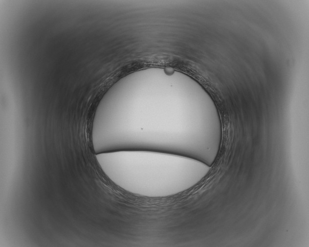 X0000112751058200908201009
