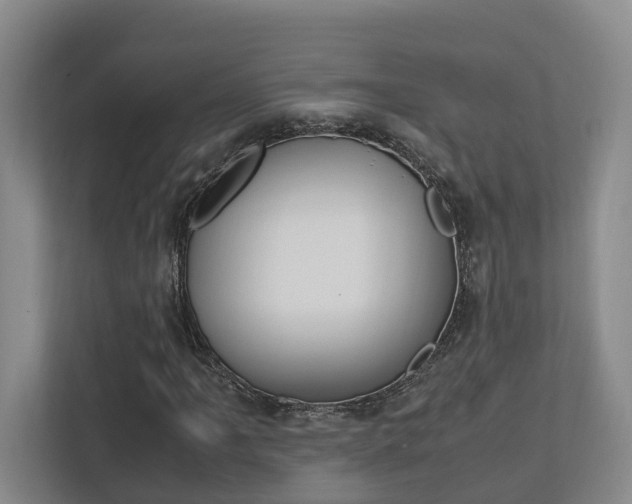 X0000112751061200908201009