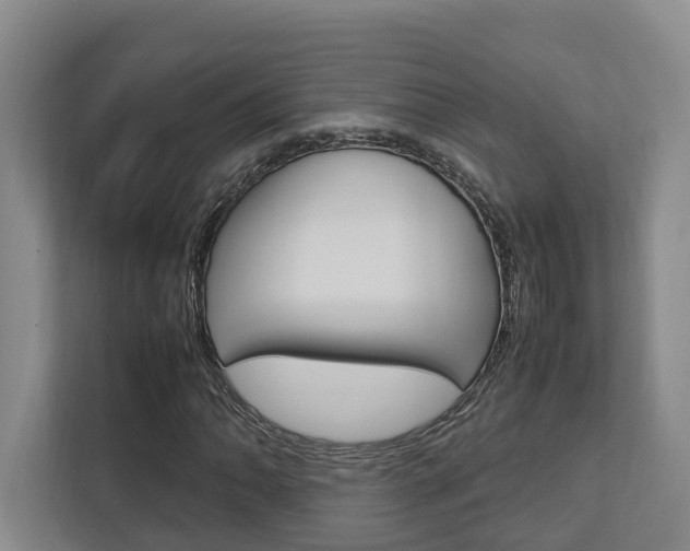 X0000112751062200908201009