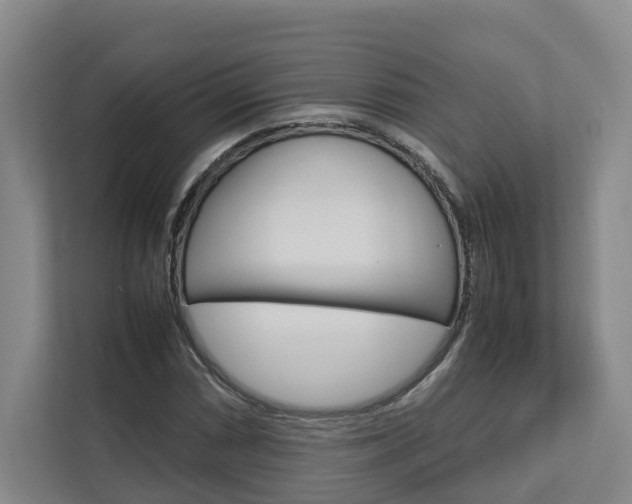 X0000112751066200908201009