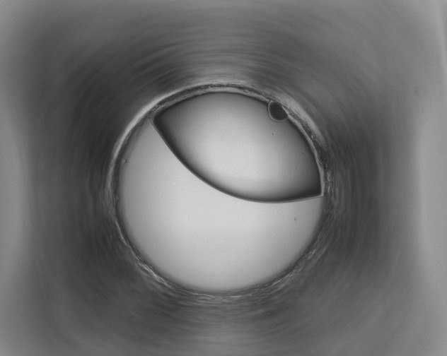 X0000112751068200908201009