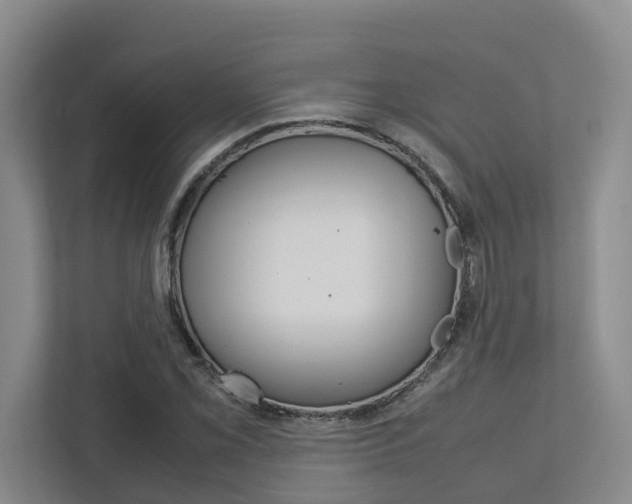 X0000112751069200908201009