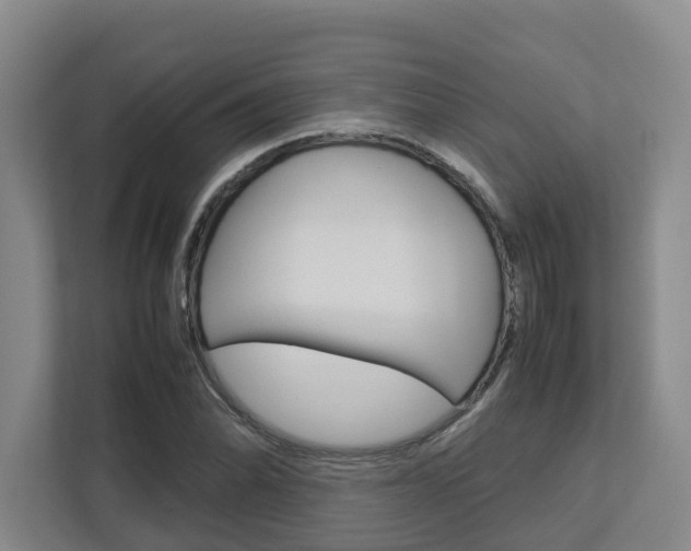 X0000112751070200908201009