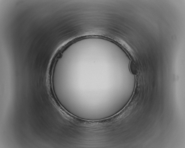 X0000112751072200908201009