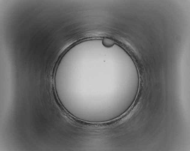 X0000112751073200908201009
