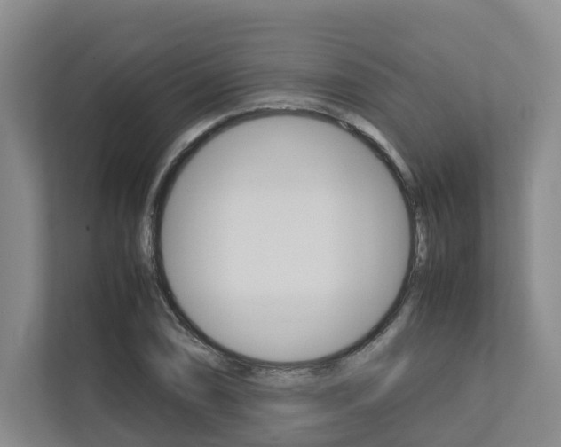 X0000112751074200908201008