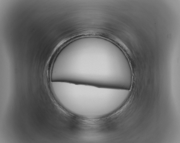 X0000112751075200908201008