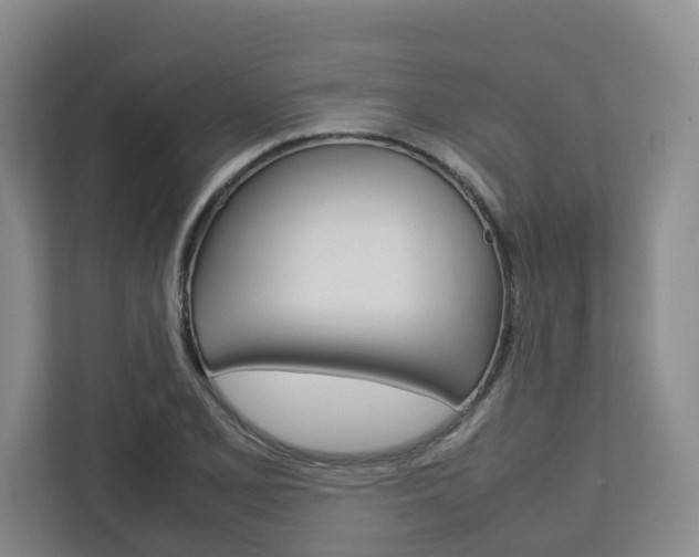 X0000112751077200908201008
